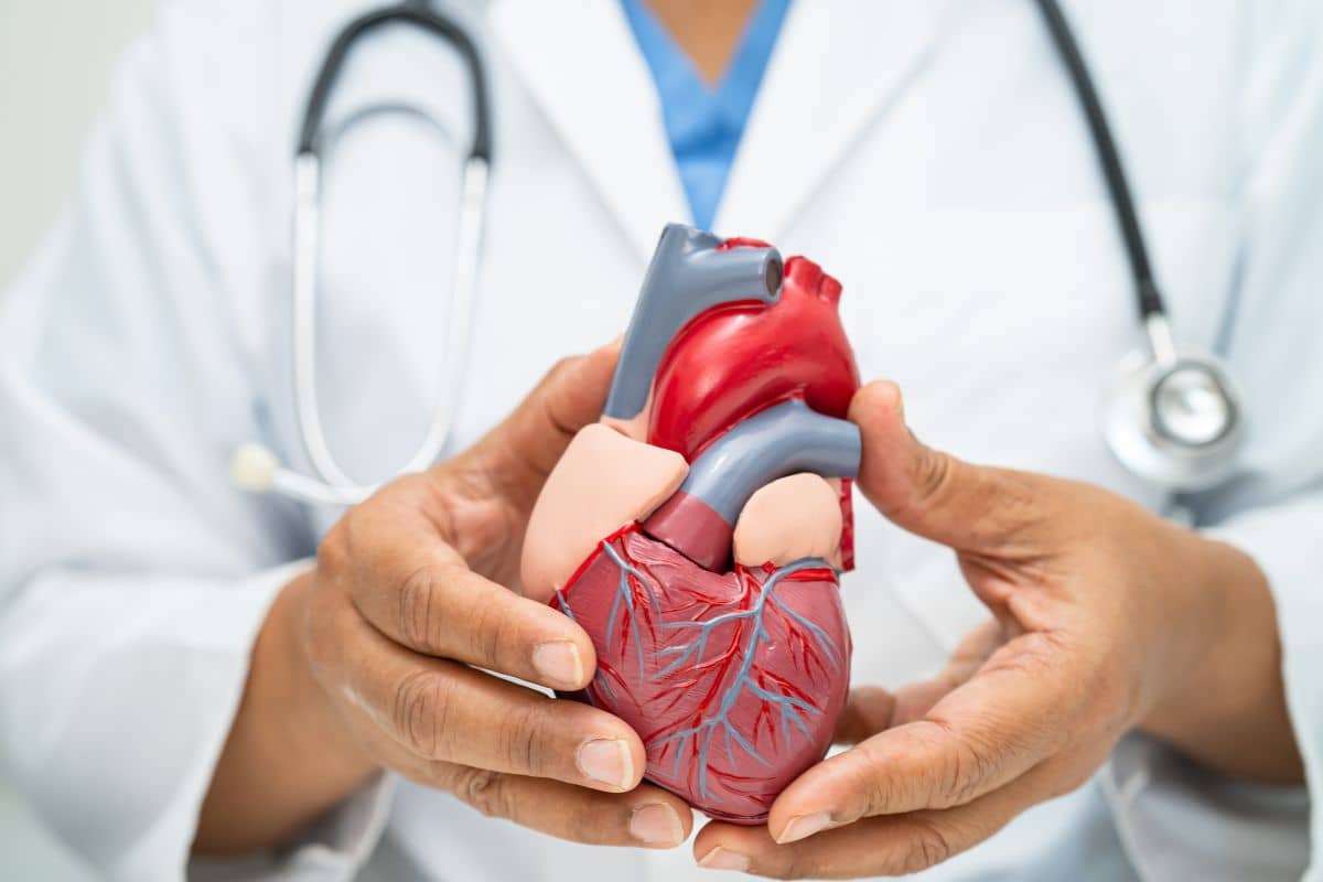 estudio cardiovascular